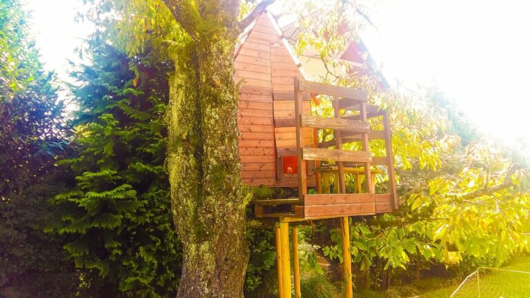 Treehouse