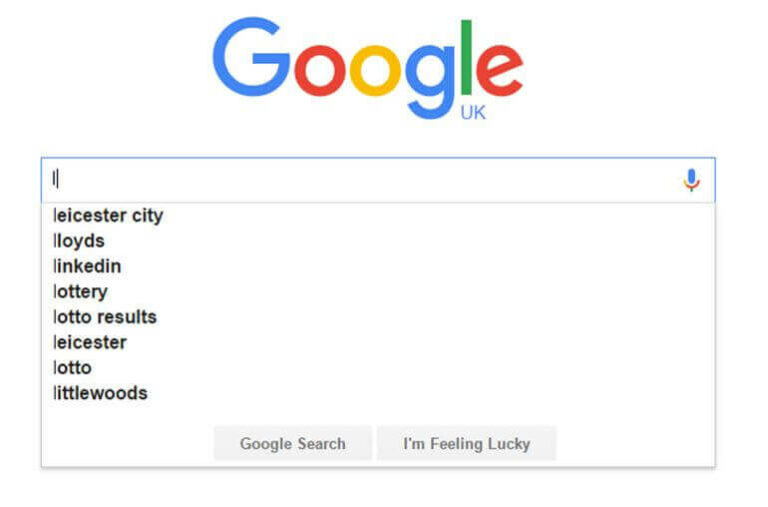 Leicester city google search