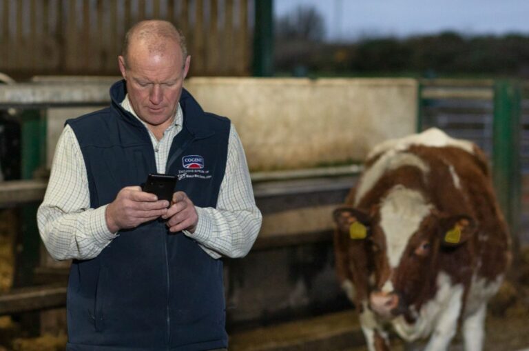 Search Never Sleeps Farmer with Cow news story